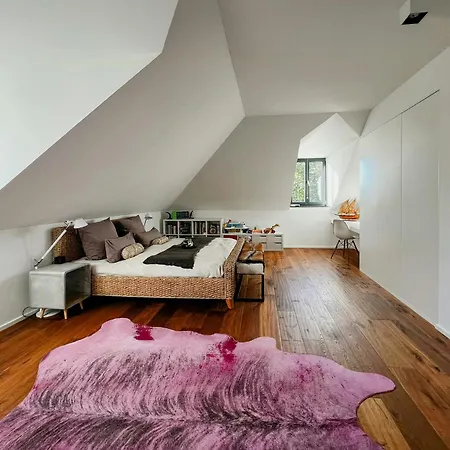 Renovated Half In The Trierer Heide トリーア